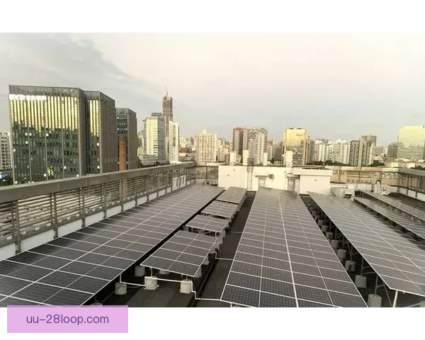 2026世界杯休斯顿赛区实现全太阳能绿色能源供电方案